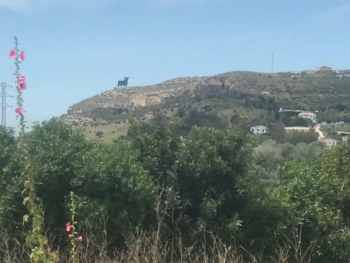 Casa De La Colina Βίλα Torre Del Mar Εξωτερικό φωτογραφία